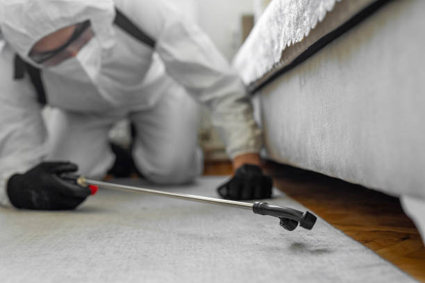 Professional Pest Control technician working in Hanna City, IL