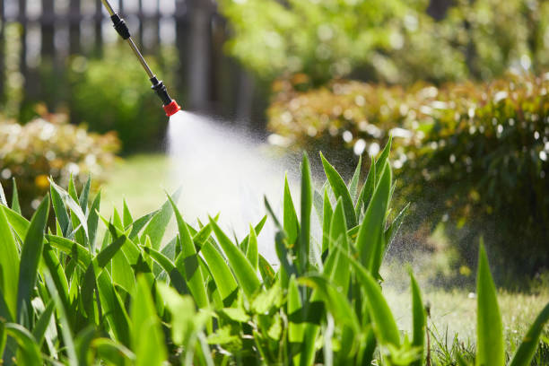 24/7 Emergency Termite Control experts in Hanna City, IL