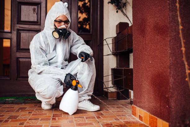 Reliable Termite Control contractor in Hanna City, IL by Nex Pest Control