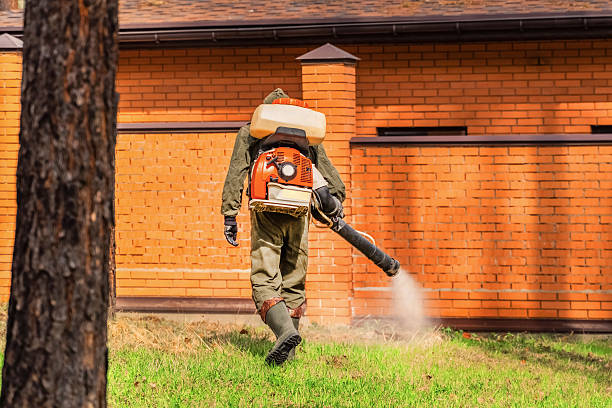 Trusted Termite Control service in Hanna City, IL - Nex Pest Control